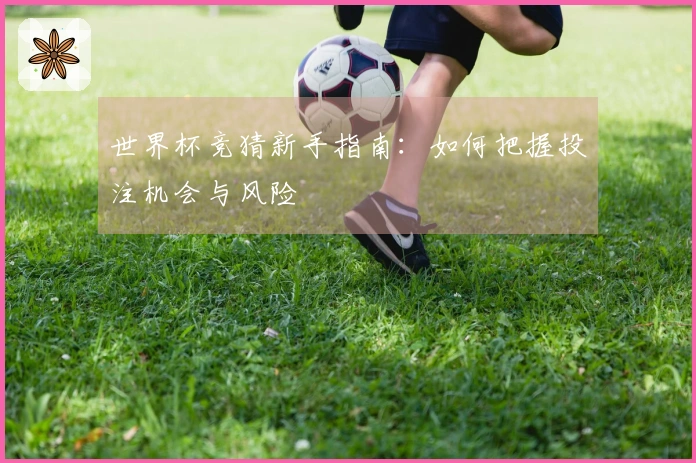 世界杯竞猜新手指南：如何把握投注机会与风险