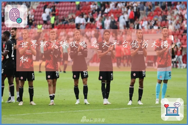 世界杯买球攻略 各大平台优劣大揭秘