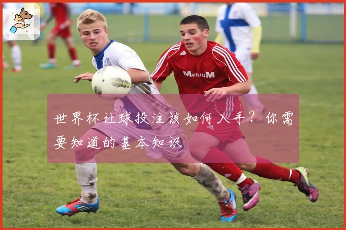 世界杯让球投注该如何入手？你需要知道的基本知识