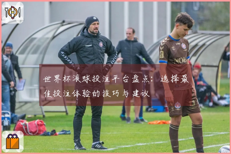 世界杯滚球投注平台盘点：选择最佳投注体验的技巧与建议