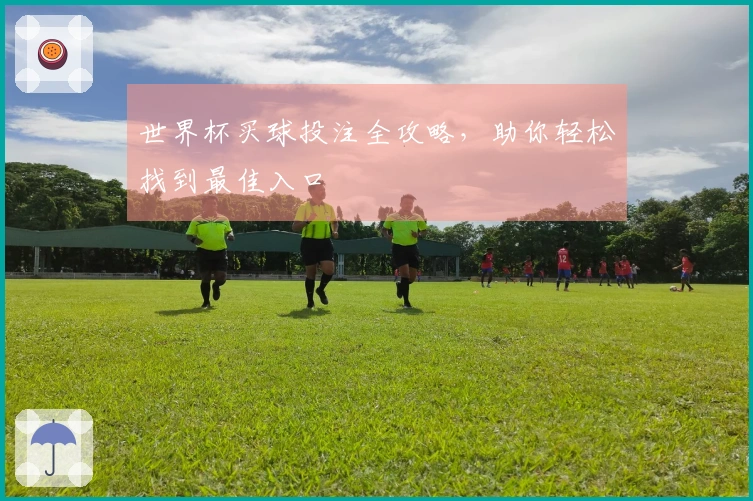 世界杯买球投注全攻略，助你轻松找到最佳入口