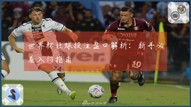 世界杯让球投注盘口解析：新手必看入门指南