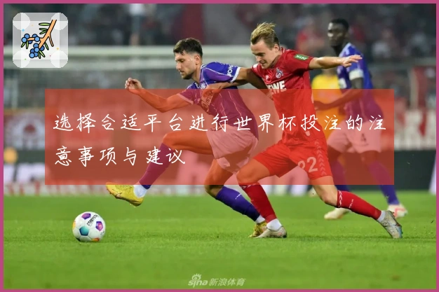 选择合适平台进行世界杯投注的注意事项与建议