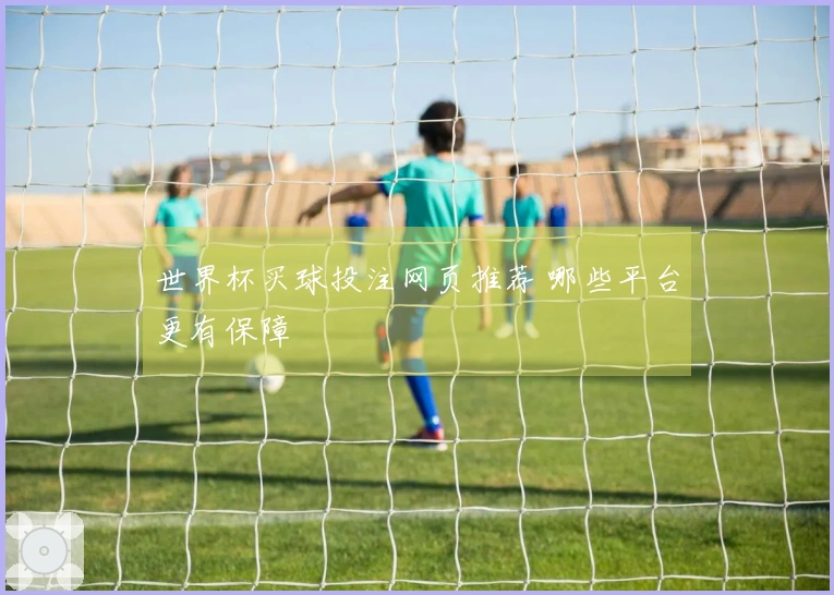 世界杯买球投注网页推荐 哪些平台更有保障