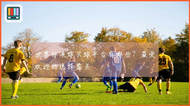 世界杯滚球买球平台有哪些？最受欢迎的选择盘点